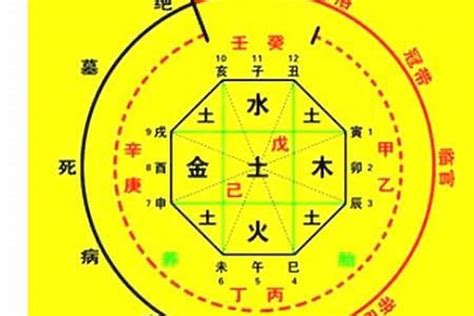 12月出生五行|生辰八字算命、五行喜用神查詢（免費測算）